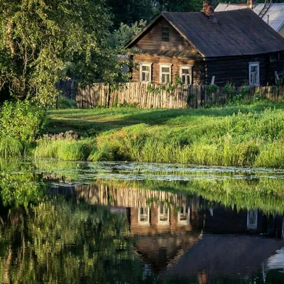 Маклер: до покупки дачи или дома в деревне решите, с какой целью вы это  делаете