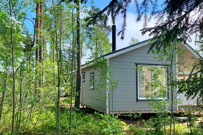 Дом в сосновом лесу: скандинавская сказка на берегу Финского залива