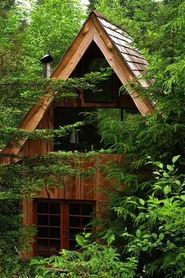 Как построить дом в лесу - Российская газета