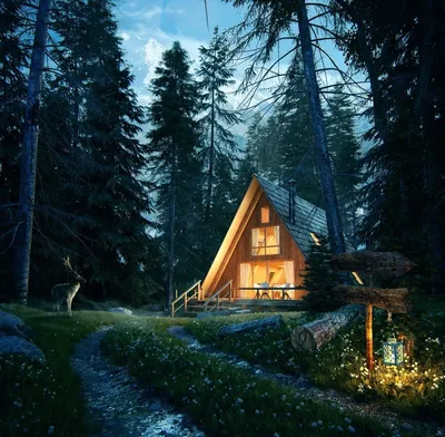 Сказочный дом-треугольник в лесу с прекрасным видом, который построили за  месяц