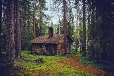 Купить дачу в лесу в Красноярске - 84 объявления о продаже дач в лесу:  планировки, цены и фото – Домклик