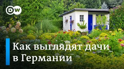 Из чего и как сделать живую изгородь на даче, список лучших растений для  живой изгороди - 15 июля 2022 - НГС