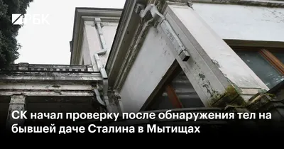 Зюганов заявил, что перед выборами целый день консультировал Путина на даче