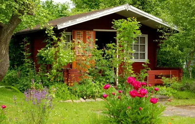 Летняя идиллия на даче: фото вдохновения для садоводов