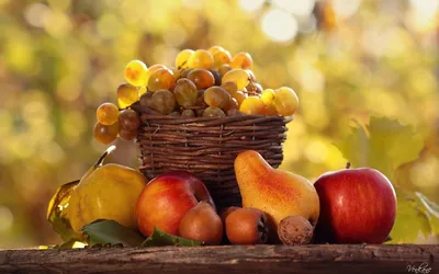 Дары осени подделки для садика | Осенние поделки, Детские поделки, Праздник