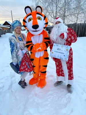 Дед мороз и снегурочка на выезд в Алматы (id 70526408)