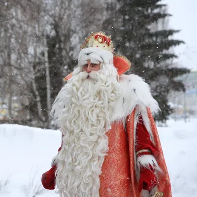 Cipmarket.ru - товары для кондитера - Съедобная картинка Дед Мороз № 092,  лист А4. Вафельная/сахарная картинка.