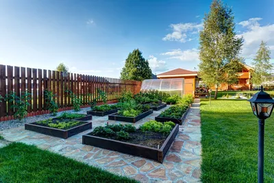 Декоративные огороды: как использовать многолетние растения для создания красивого участка: картинка