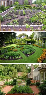 Садовые идеи: фото декоративных огородов, которые вдохновят вас