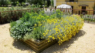 Садовые идеи: фото декоративных огородов, которые вам понравятся