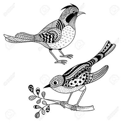 Декоративная птица иллюстрации вектора с абстрактными цветами Иллюстрация  вектора - иллюстрации насчитывающей вне, конструкция: 195707516