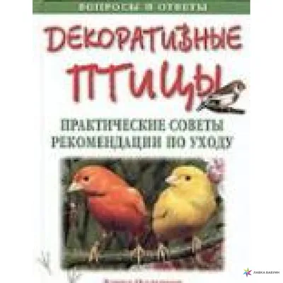 Разведение птицы на приусадебном участке | Питомник декоративных птиц