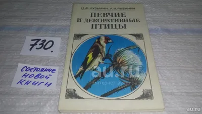 Декоративные птицы Металл Цвет меди Сладкая парочка Душевный разговор в  интернет-магазине Ярмарка Мастеров по цене 6000 ₽ – BD89LRU | Элементы  интерьера, Краснотуранск - доставка по России