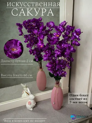 Цветы в горшках для дома купить в Минске - Кошык Кветак