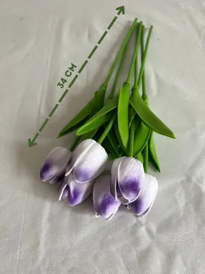 Домашние цветы. Для дома, для души,: 200 KGS ➤ Другие комнатные растения |  Бишкек | 68959211 ᐈ lalafo.kg