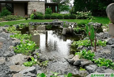 Как сделать на своем участке декоративный пруд? - dominant-wood.com.ua