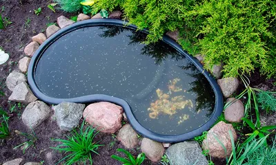 Искусственный мини пруд на даче — Небольшой декоративный маленький пруд на  садовом участке