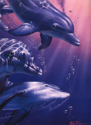Рисунки и картинки - Дельфины - Christian Lassen - Морской мир | Dolphin  images, Dolphin art, Dolphins