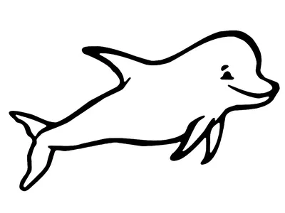 Картинки на тему #дельфинывокеане - в Шедевруме