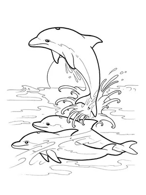 Дельфины Прыгают С Моря — стоковые фотографии и другие картинки Дельфин -  Дельфин, Море, Животное - iStock