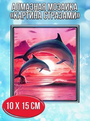 Картинки на тему #дельфина - в Шедевруме