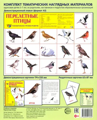Иллюстрация 1 из 22 для Демонстрационные картинки Перелетные птицы, 16  картинок | Лабиринт - книги. Источник: Лабиринт