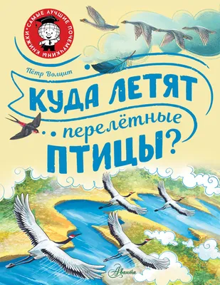 Демонстрационные картинки Супер. Перелетные птицы.16 раздаточных карточек с  текстом - Kolobook