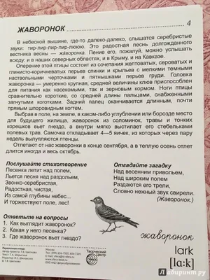 Купить Цветкова Т. В.: Демонстрационные картинки. Перелетные птицы (16  картинок) в кредит в Алматы – Kaspi Магазин