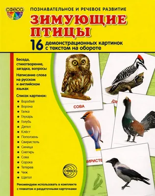 Демонстрационные картины А3 «Зимующие и перелётные птицы» Методический  материал 9410094 купить в Симферополе, Крыму • Цена на TOPSTO