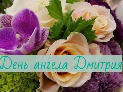 8 ноября – Дмитриев день: несравненные поздравления с Днем ангела «Дмитрий»