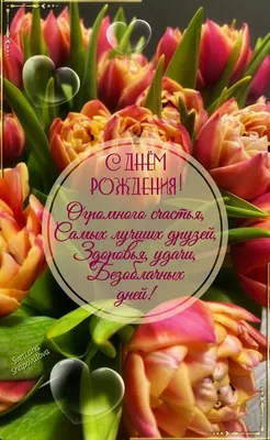 9 июня Международный день ДРУЖБЫ ❤@esv_mila@esv_mila #9июня#esv_mila#д... |  TikTok