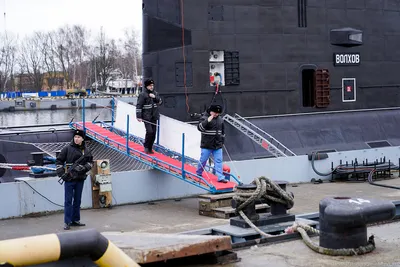 День моряка-подводника в России 2023: история и традиции праздника... —  Глеб Брянский на TenChat.ru