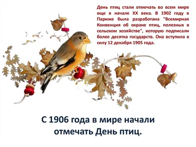 1 апреля — Международный день птиц. | Детская библиотека г. Луганска