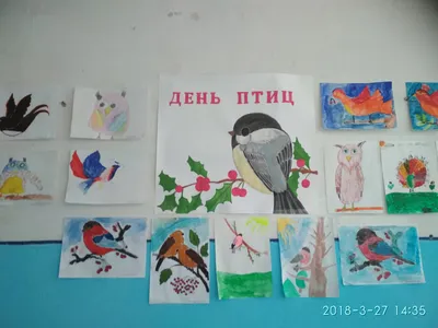 Международный день птиц в гостях у Союза охраны птиц России