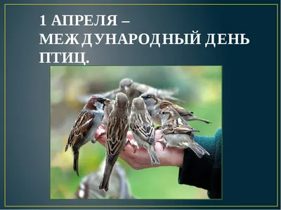 1 апреля – Международный день птиц | 01.04.2020 | Суворов - БезФормата