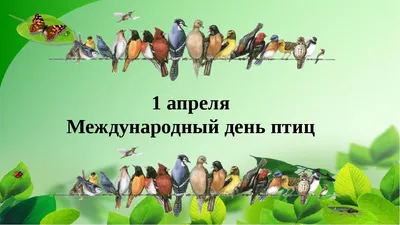 Международный день птиц » Кванториум Новости