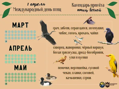 1 апреля - Международный день птиц | Общество лесоводов