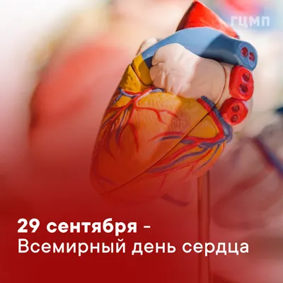 Сегодня Всемирный день сердца - Городская клиническая больница 7 Казань -  Официальный сайт