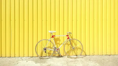 3 июня – Всемирный день велосипеда | Книгодарь | Дзен