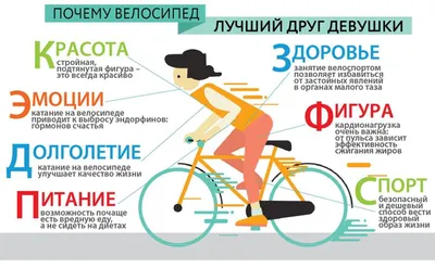 Всемирный день велосипеда 2024: какого числа, история и традиции праздника