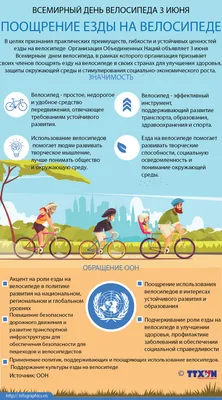 3 июня - Всемирный день велосипеда | Крестцы