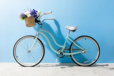 Всемирный день велосипеда поощряет езду на велосипеде | ПОЛИТИКА | Vietnam+  (VietnamPlus)