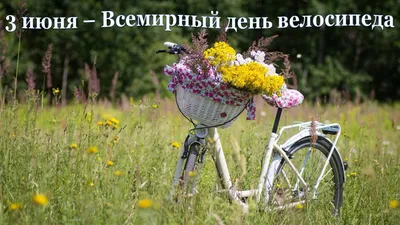 3 июня — Всемирный день велосипеда | Библиотеки Архангельска