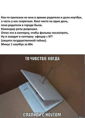 Служба ЗГТ не спит ночами. Сон для слабаков, поэтому ночью они ищут  телефоны. И их находят | Зелёная книга | Дзен