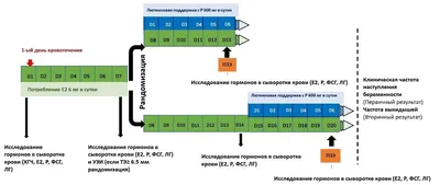 День борьбы с онкологическими заболеваниями » ГБУЗ АО \"ОЦ ПБ СПИД\"