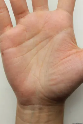 Фотография руки с бриллиантовым денежным ромбом