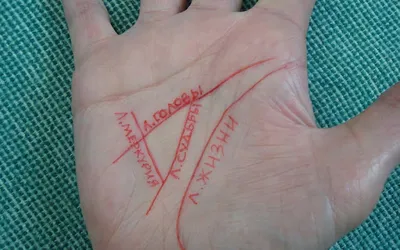 Фото Денежного треугольника на руке: скачивайте в формате JPG