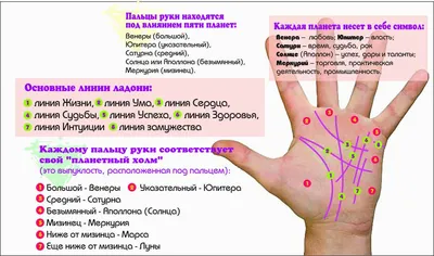 Денежный треугольник на руке: хорошая глубина резкости