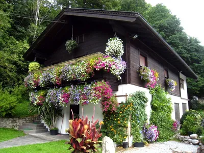 Дачный домик с садом (60 фото) - 60 фото