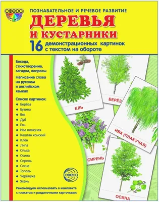 Демонстрационные картинки СУПЕР Деревья и кустарники. 16 картинок с текстом  - купить с доставкой по выгодным ценам в интернет-магазине OZON (983891521)